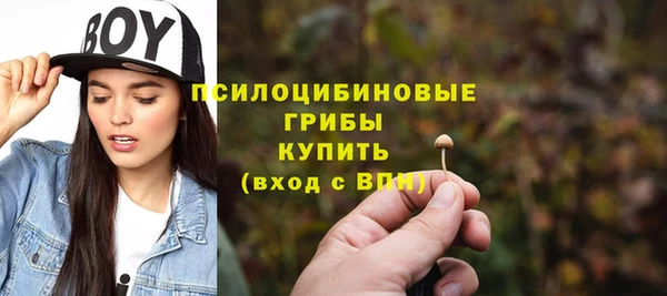 гашик Балабаново