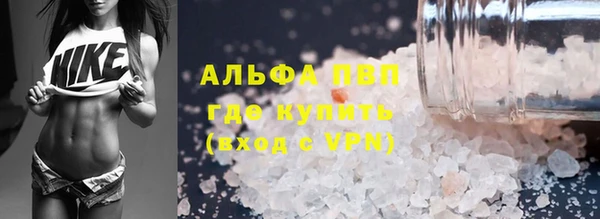 PSILOCYBIN Балахна