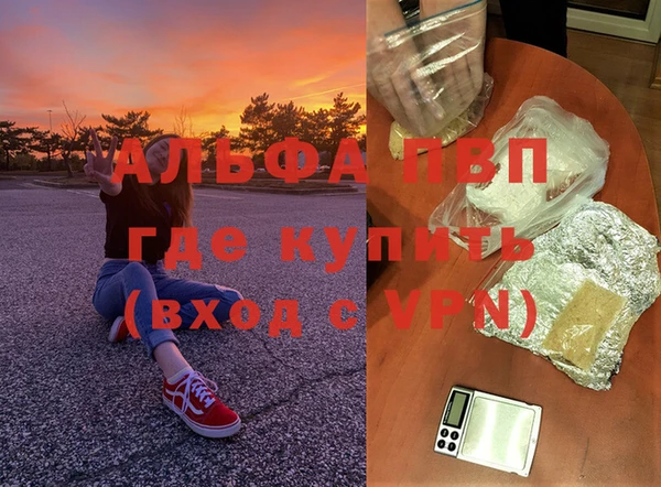 спиды Аркадак