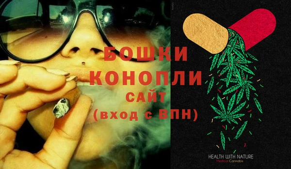 PSILOCYBIN Балахна