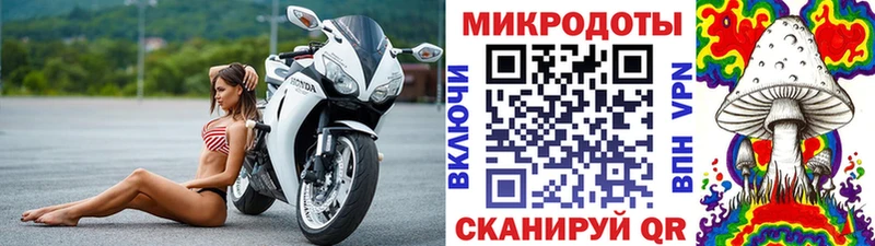 купить наркоту Волчанск Псилоцибиновые грибы мицелий